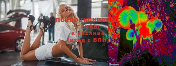 СК Пересвет