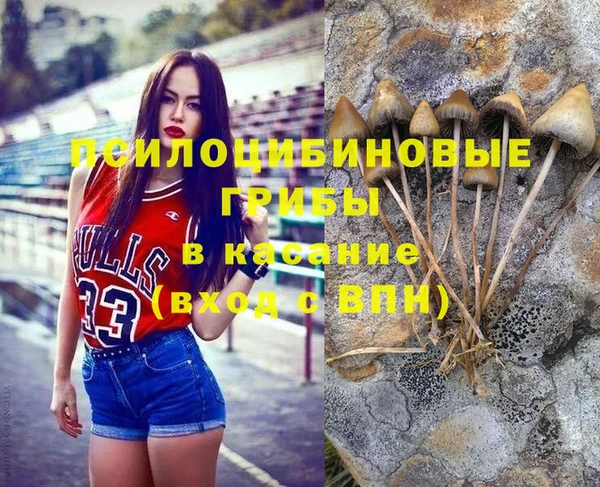 стаф Переславль-Залесский