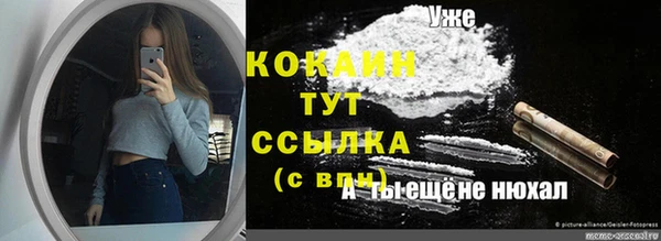 стафф Осташков