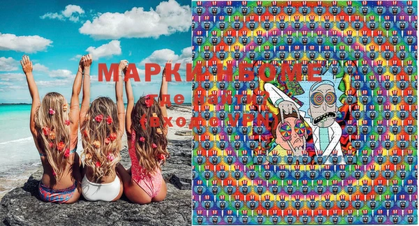 стафф Осташков