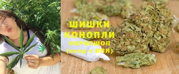 гидра Пестово
