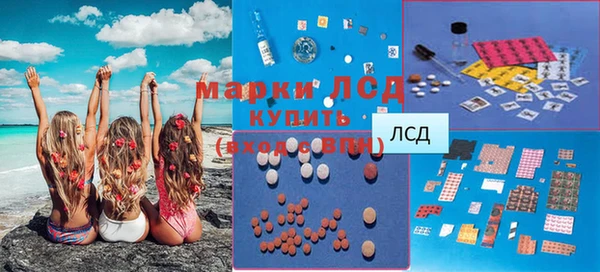 СК Пересвет