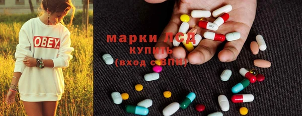 стафф Осташков
