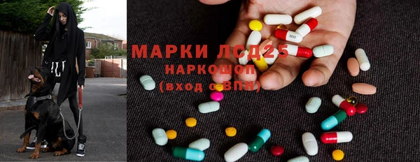 гидра Пестово
