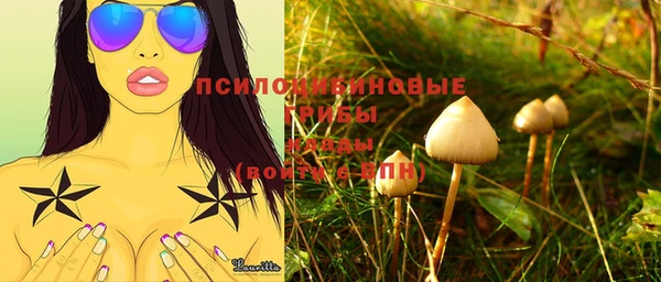 гидра Пестово