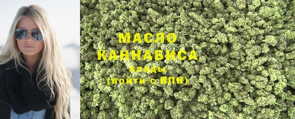 СК Пересвет