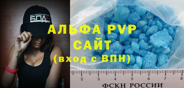 СК Пересвет